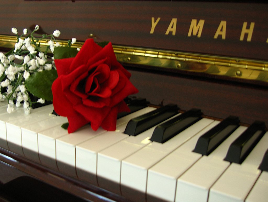 Цветы на пианино