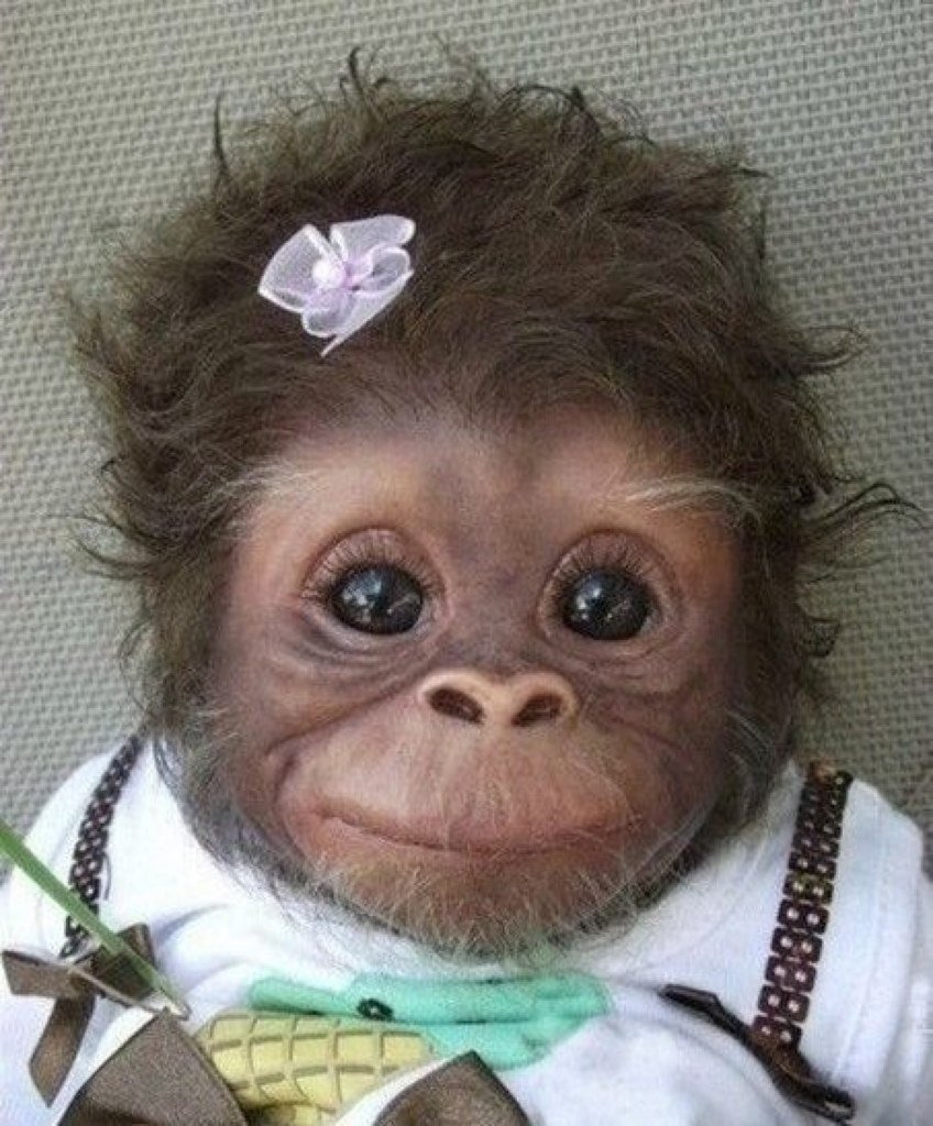 Обезьянка с бантиком