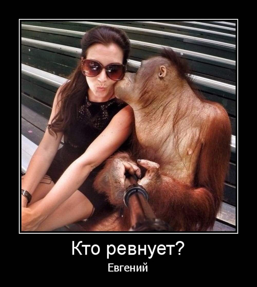 Добрая обезьянка