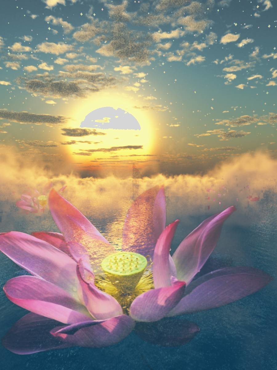 Цветок лотоса медитация АЛЛАТРА