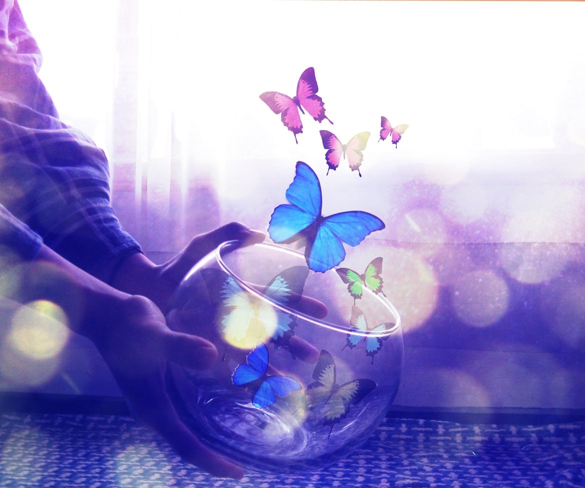 Цветок радости и вдохновения. Вдохновение творить. Волшебство утра. Магическое утро. Счастье бабочки.