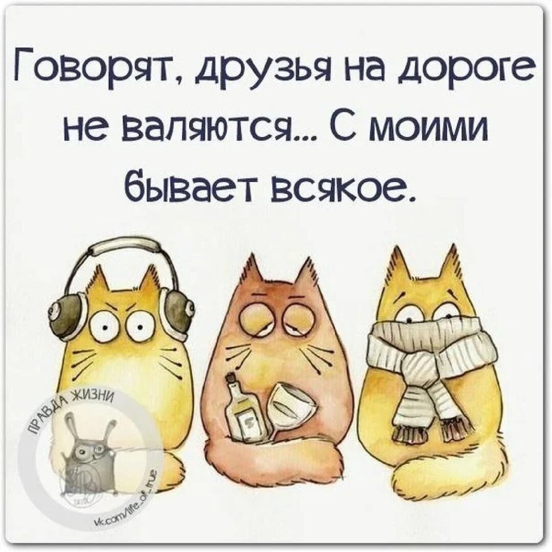 Интересная жизнь