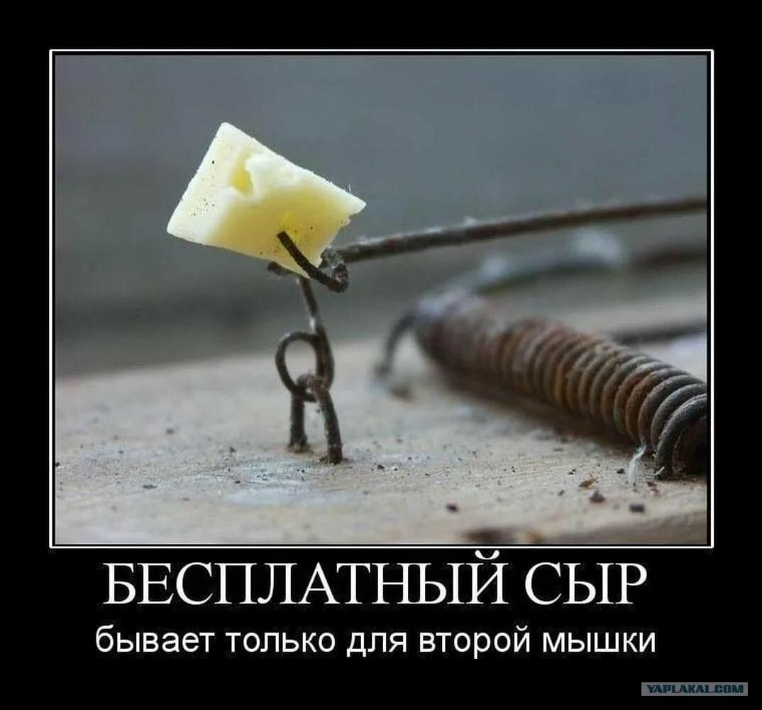 Смешные статусы в картинках