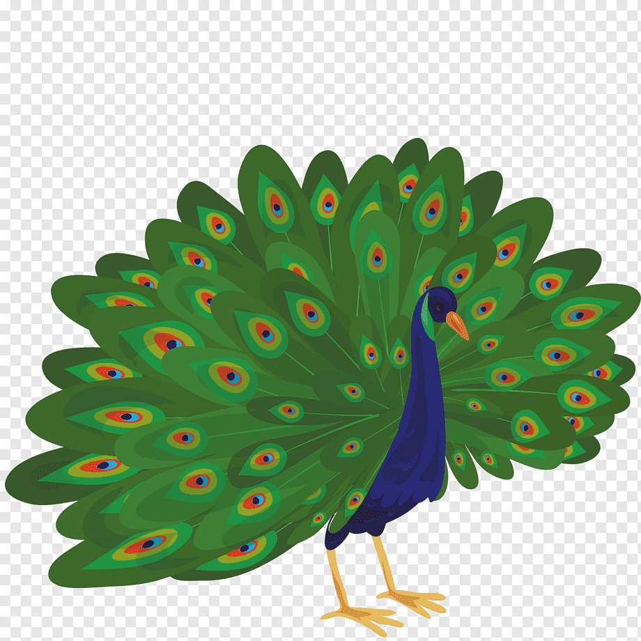 Павлин шарж