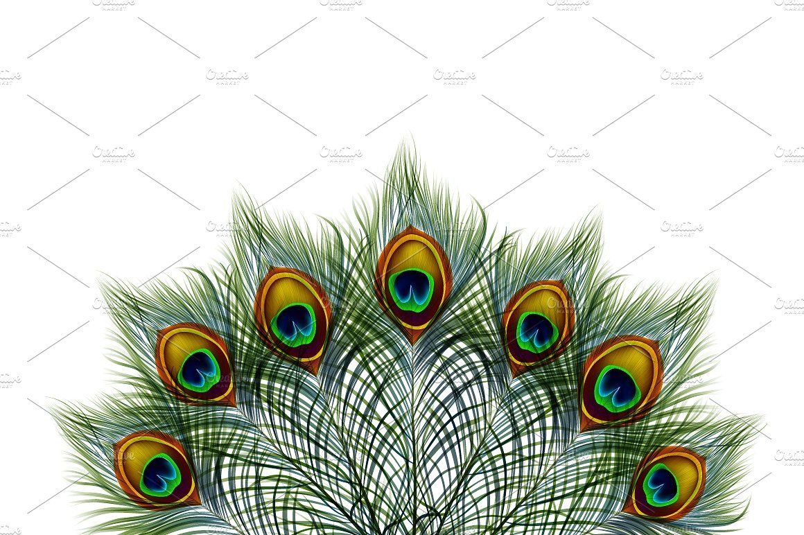 Павлин текст