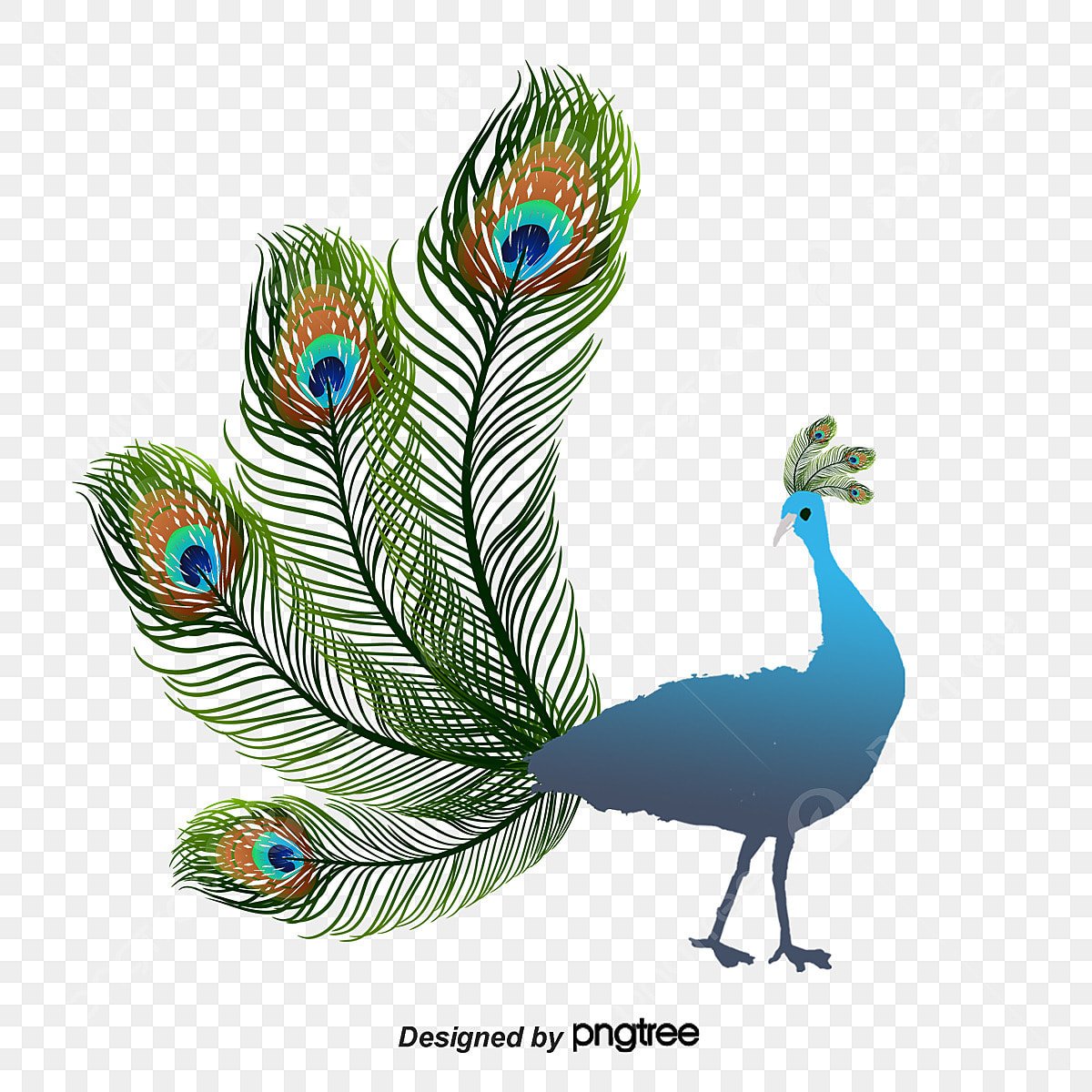 Павлин для фотошопа