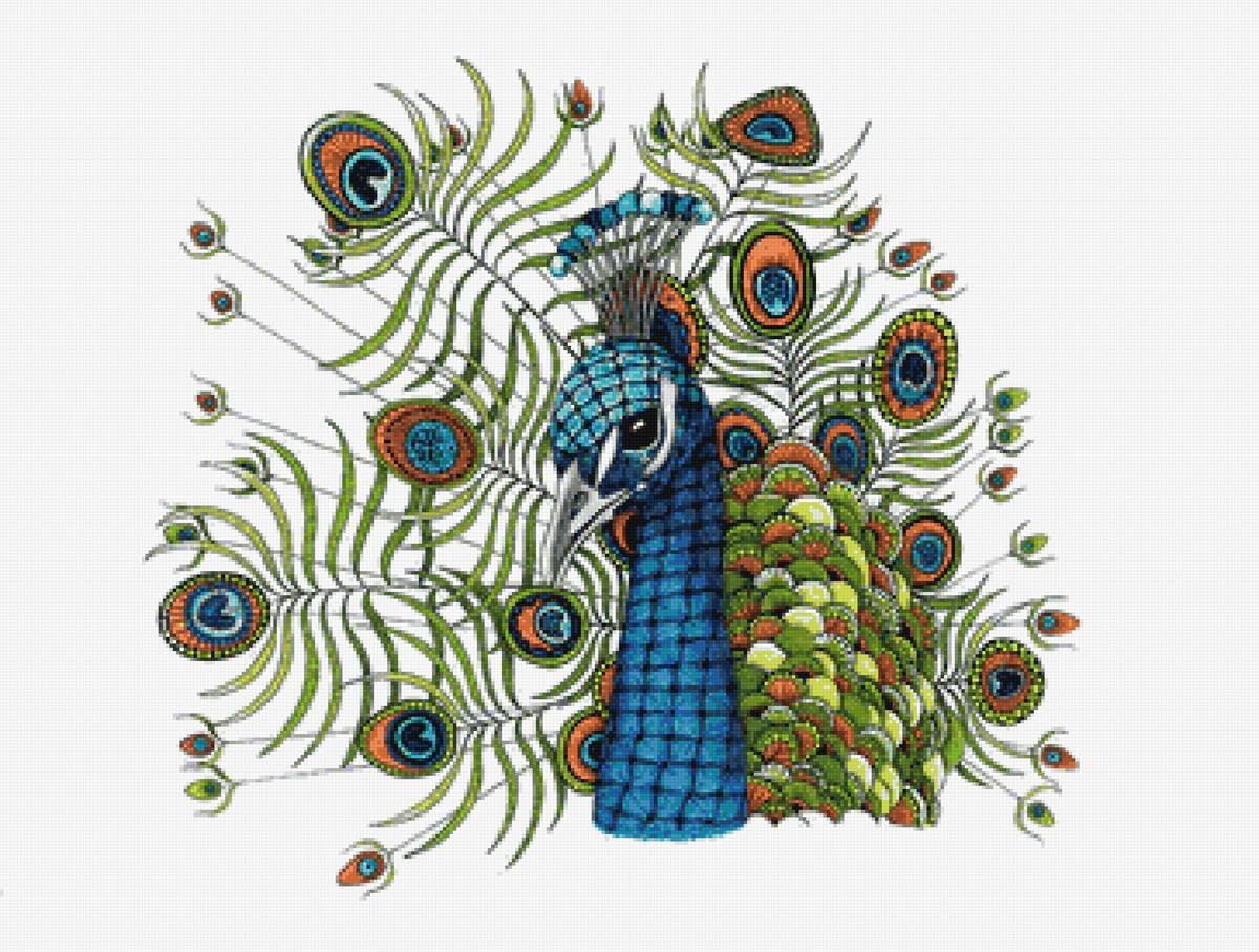 Павлин для фотошопа