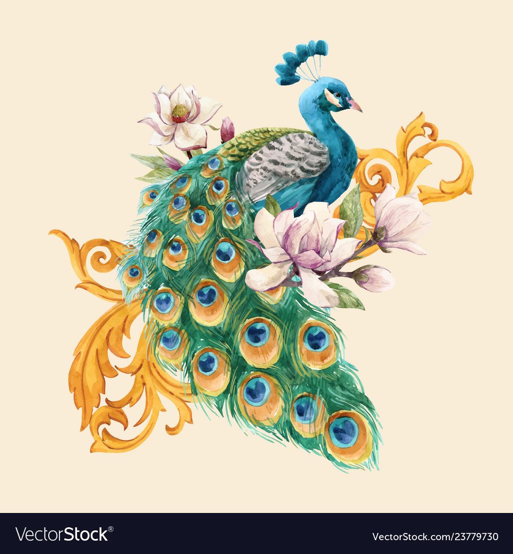 Символ павлина