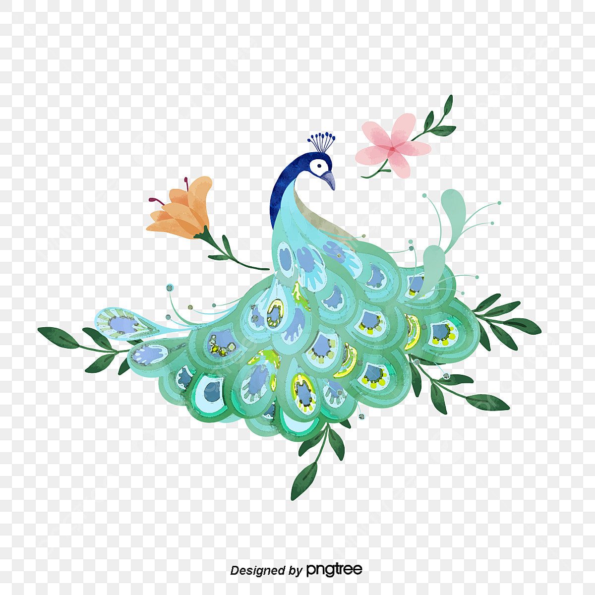 Peacock картинка для детей vector stock
