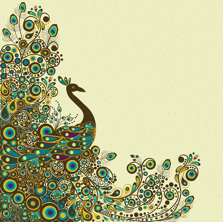 Павлин с открытым хвостом рисунок