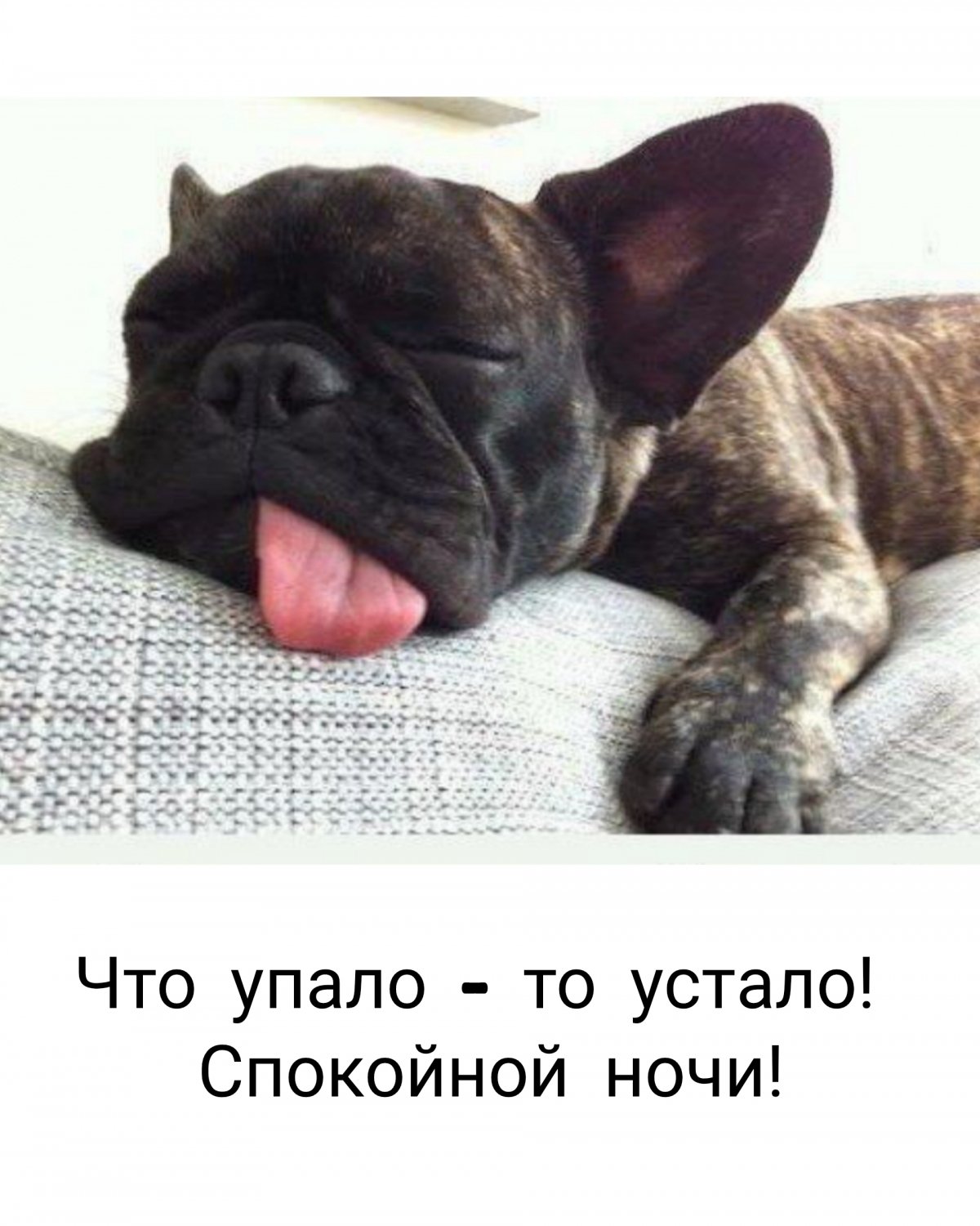 Усталость юмор