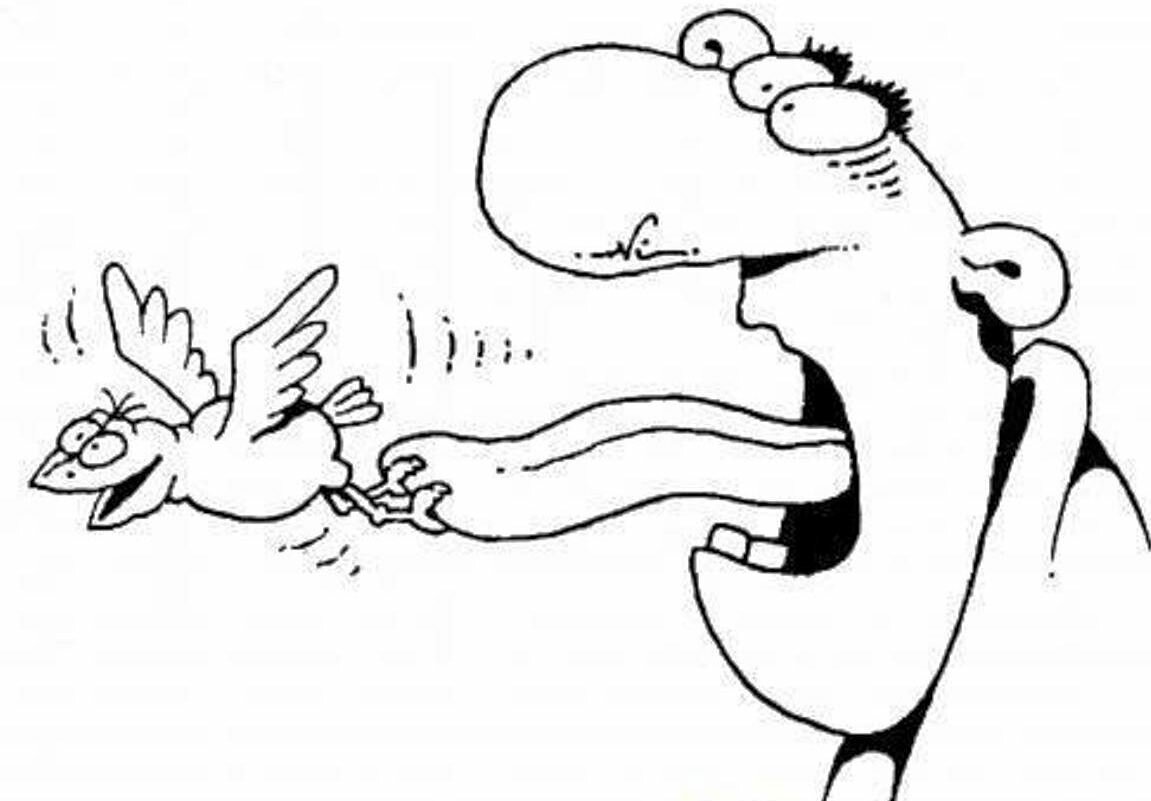 Рисунок к пословице слово не Воробей вылетит не поймаешь