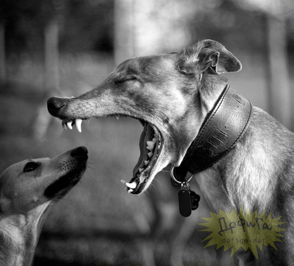 Возлечь это