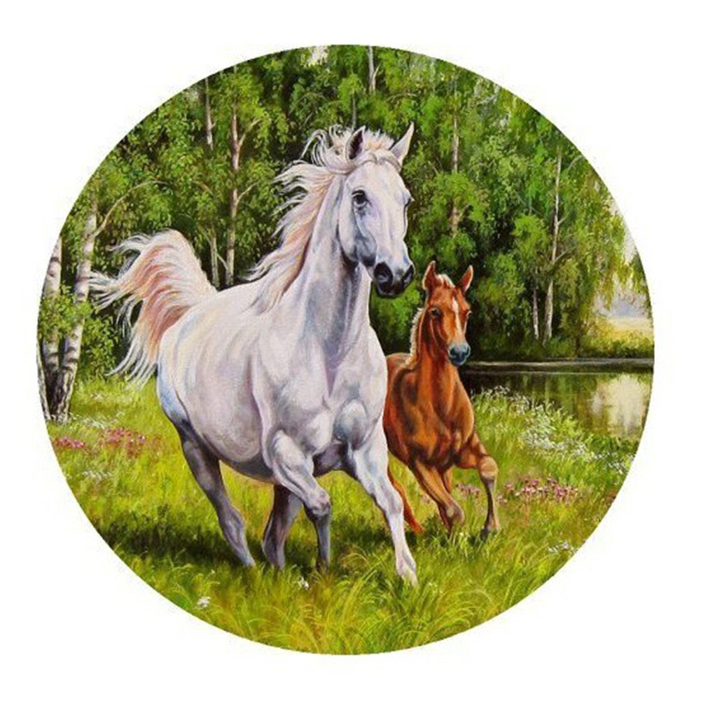 Лошадь в круге