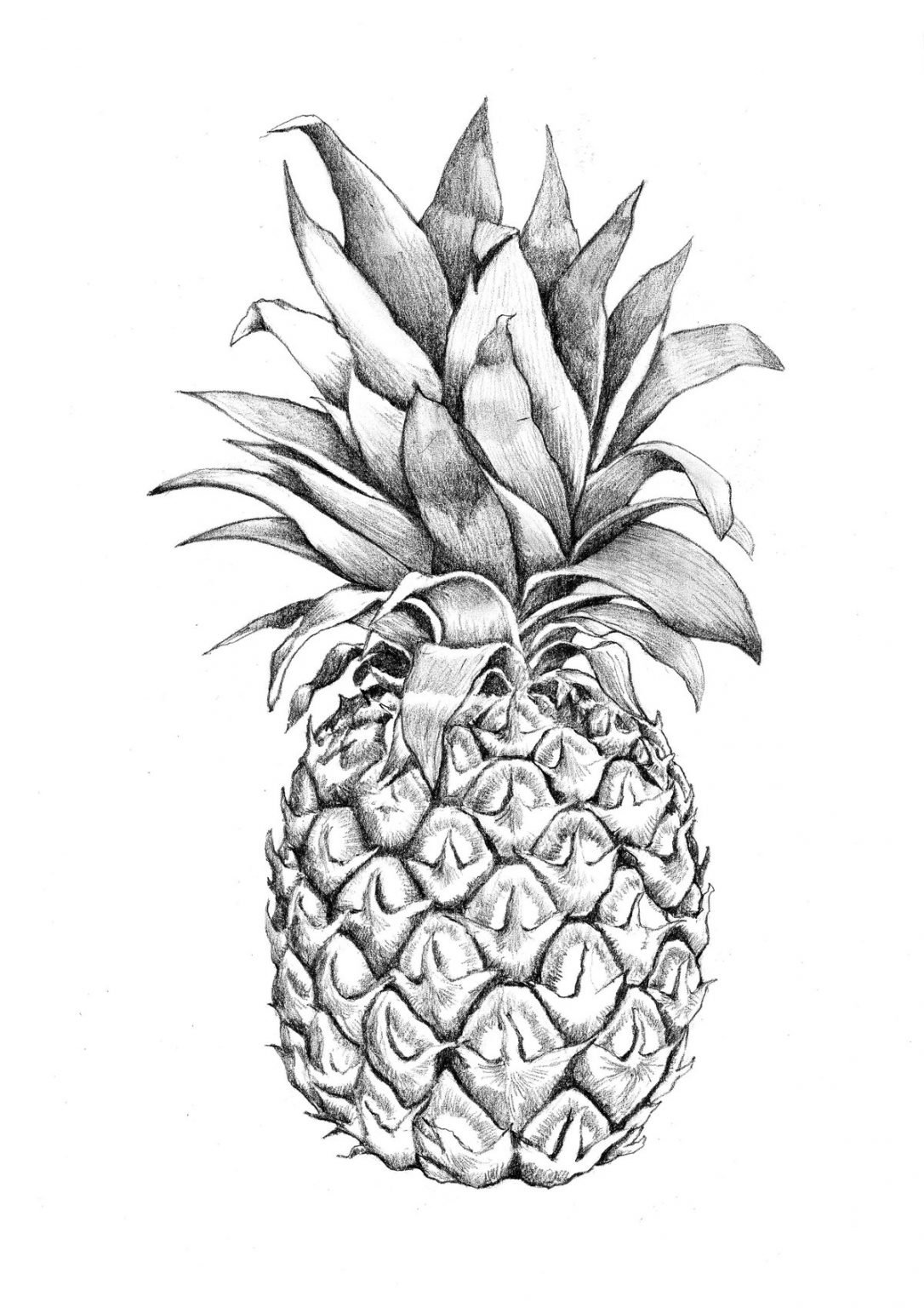 Ананас рисунок
