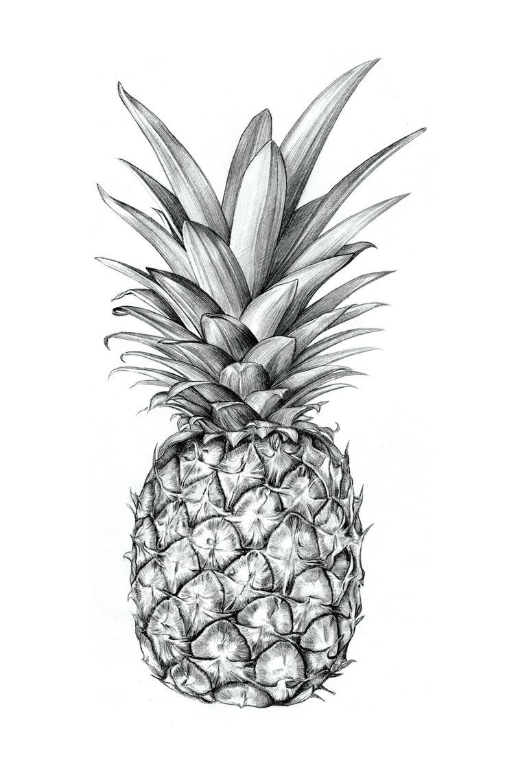 Ананас эскиз