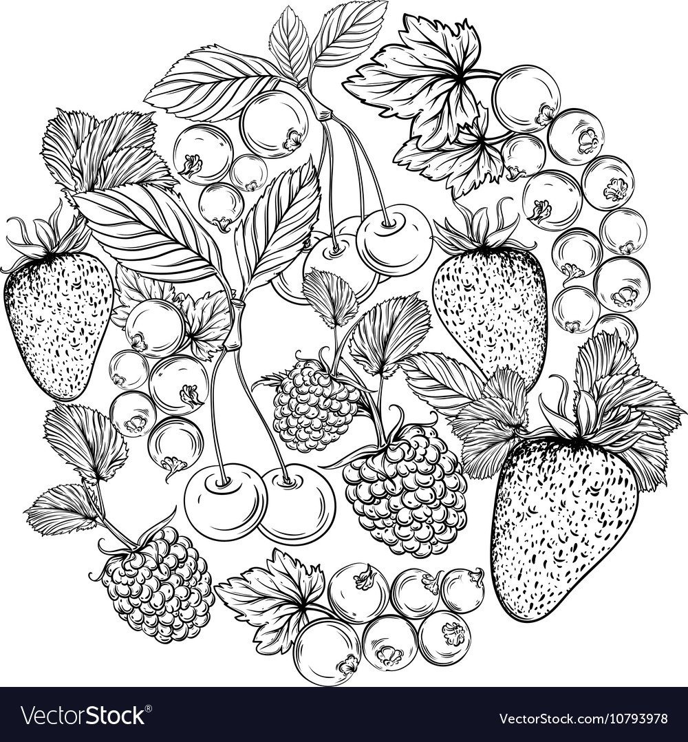 Авокадо арт арт