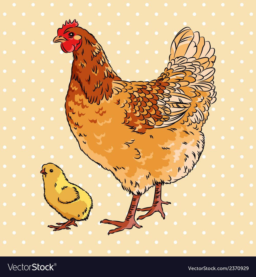 Три курочки