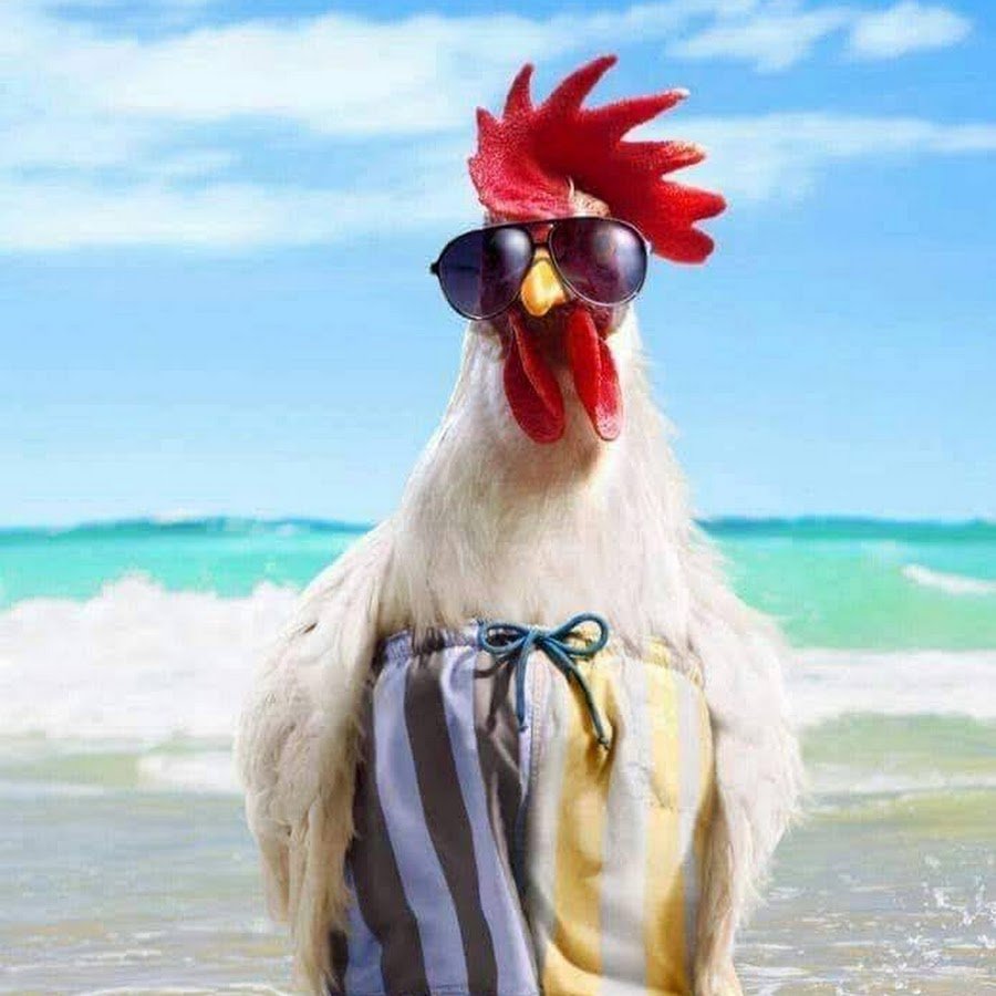 Курочка арт