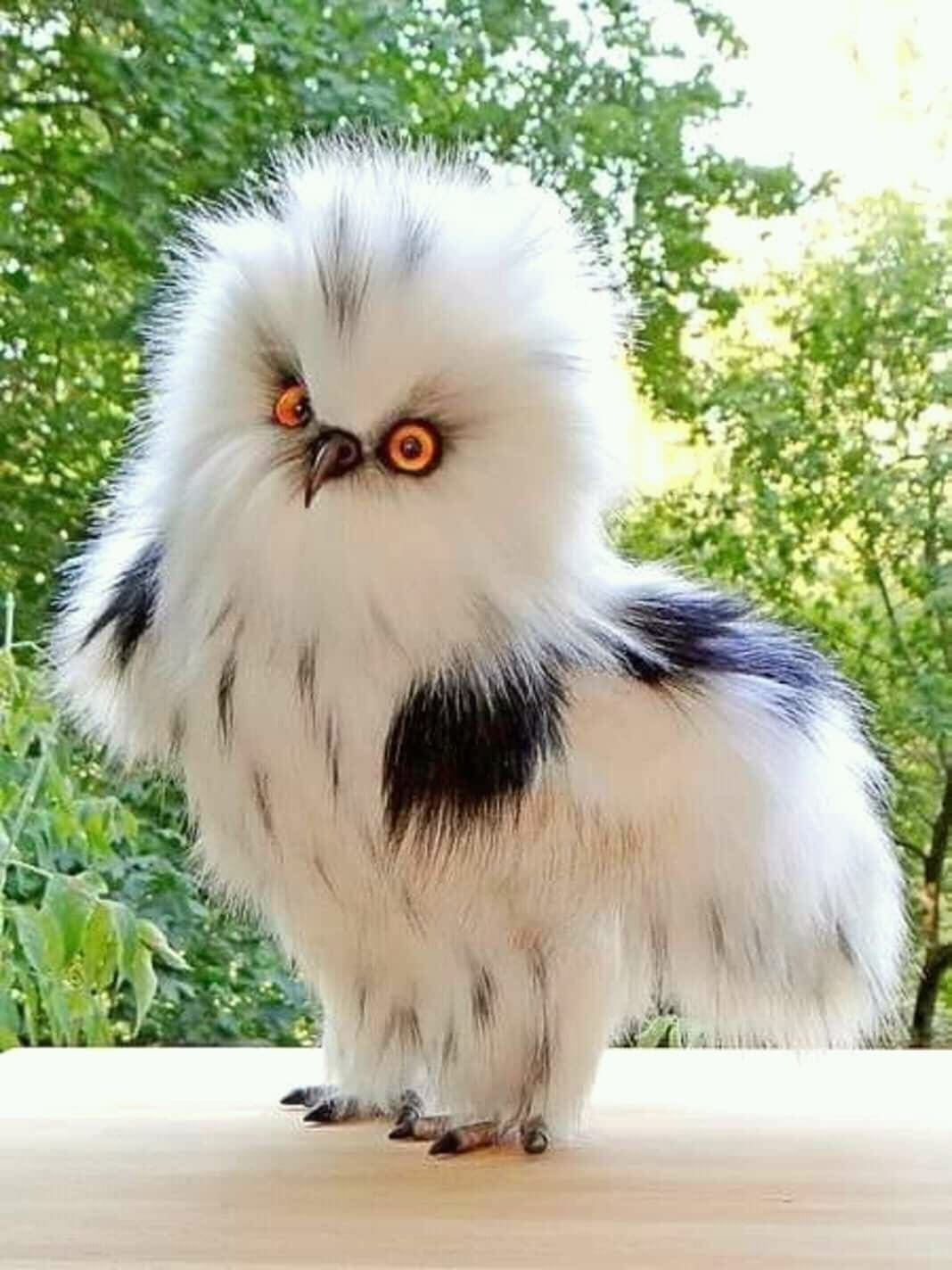 Маленькие звери