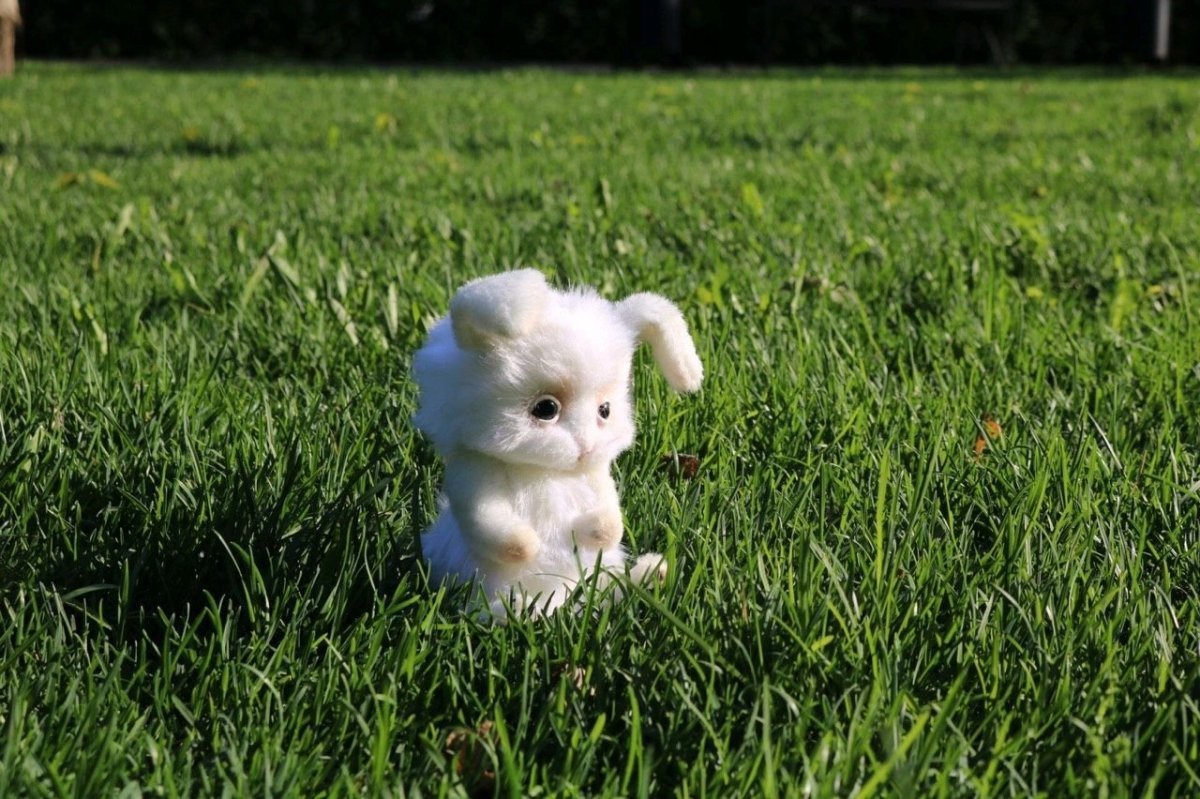 Ким Хаскинс картины