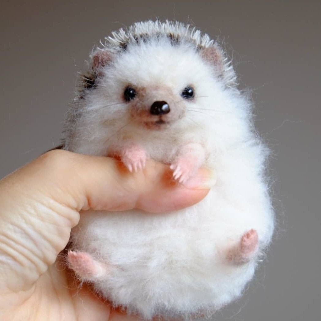 Котенок с заколочкой