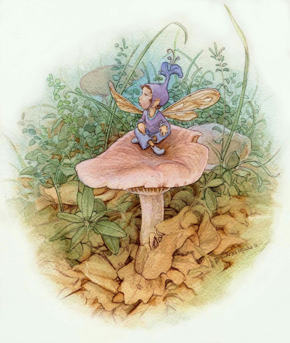 Маленькие эльфы и феи