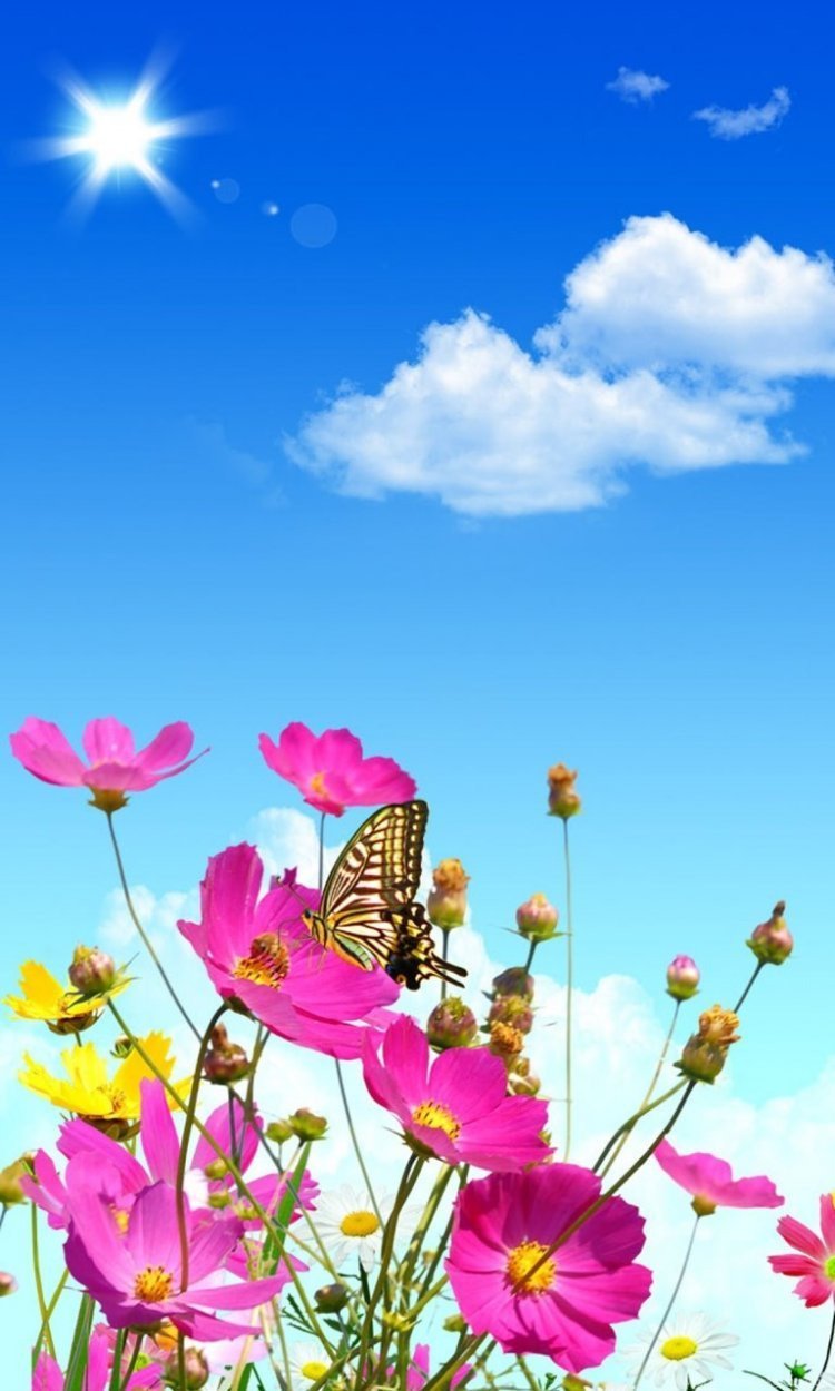 Лето вертикально