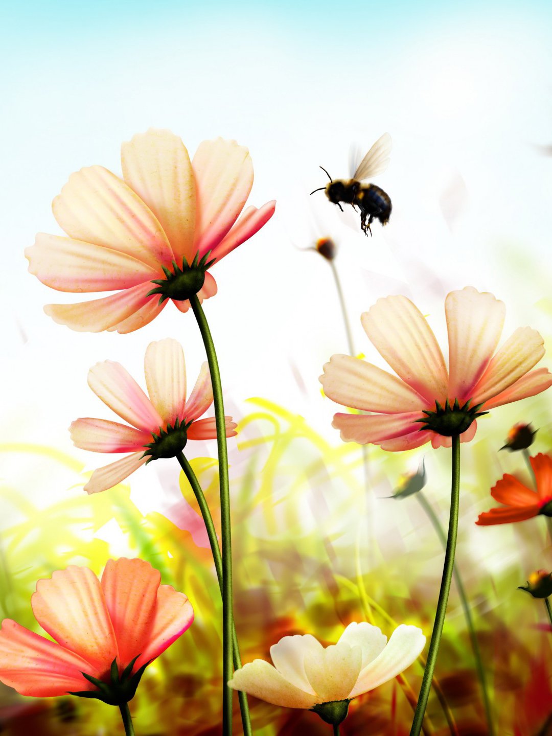 Летние цветы вертикальный