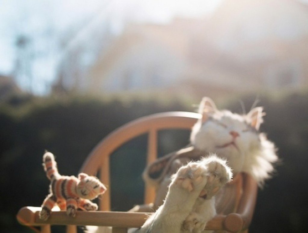 Хороших выходных смешные