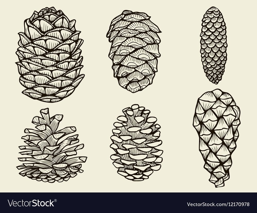 Шишки мультяшные