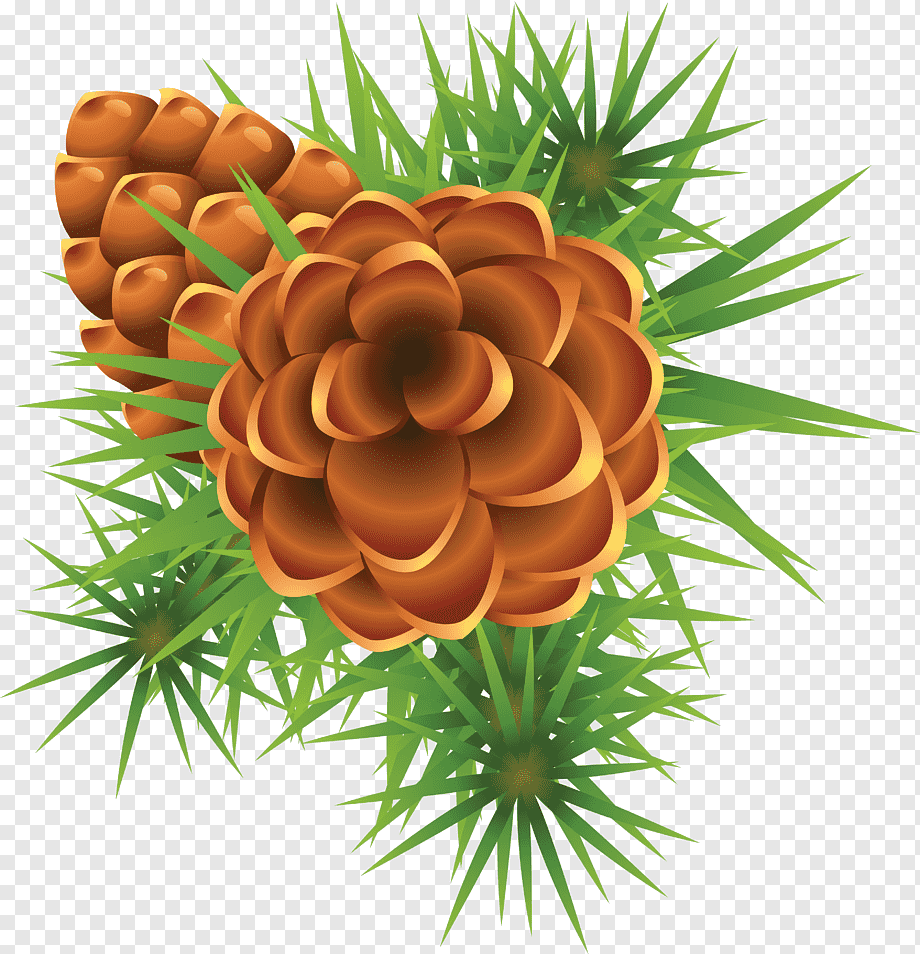 Стилизованная шишка