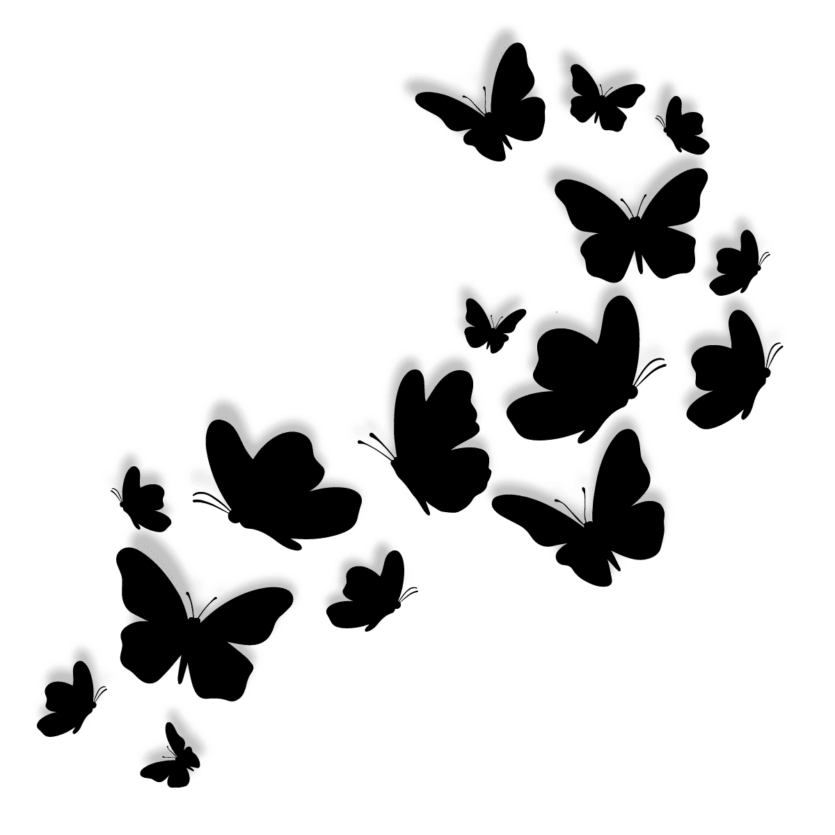 Черные бабочки на белом фоне