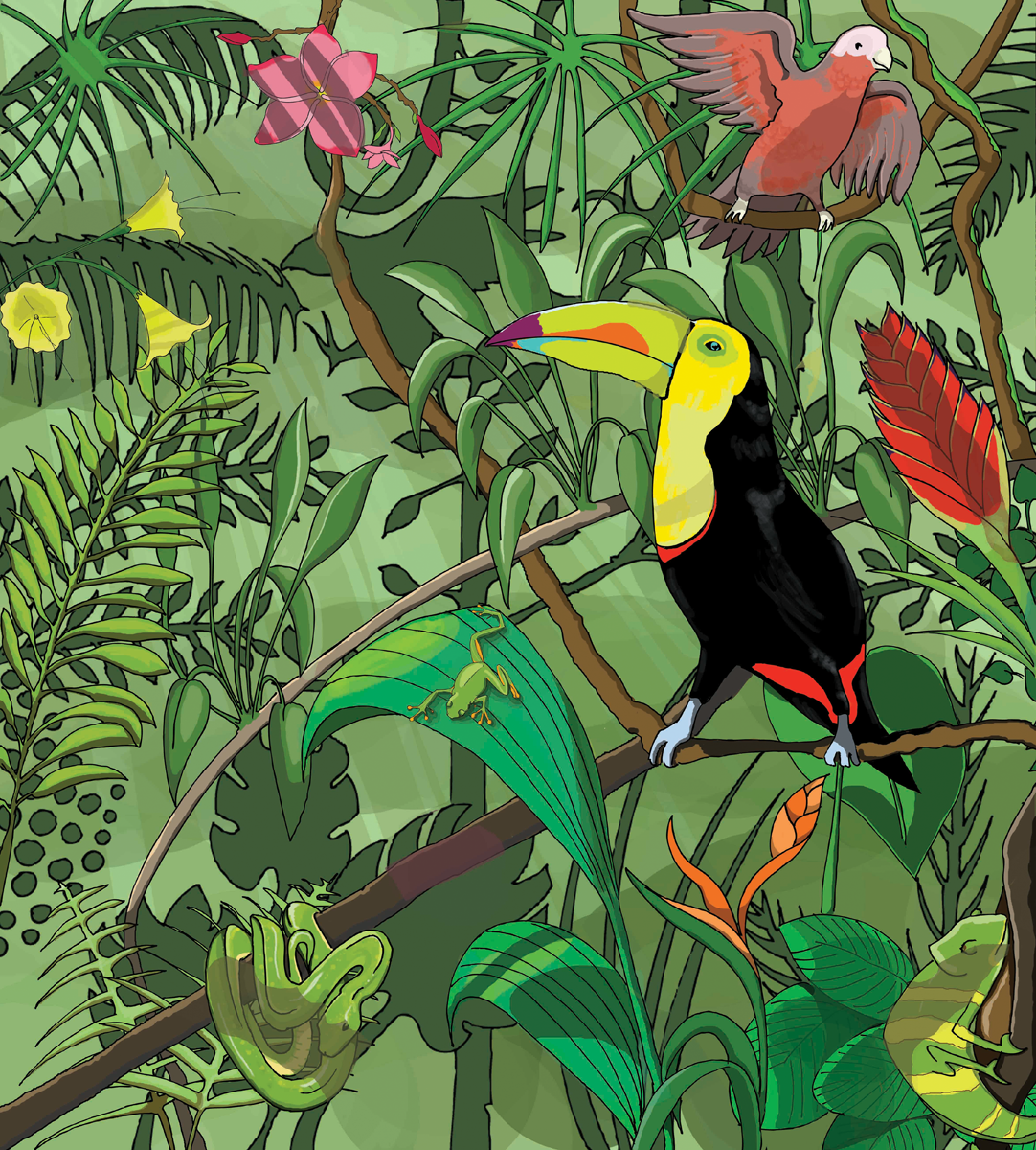 Джунгли стилизация