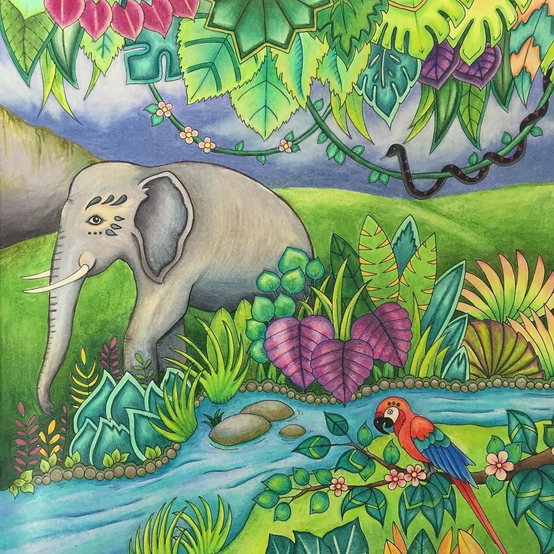 Нарисовать джунгли