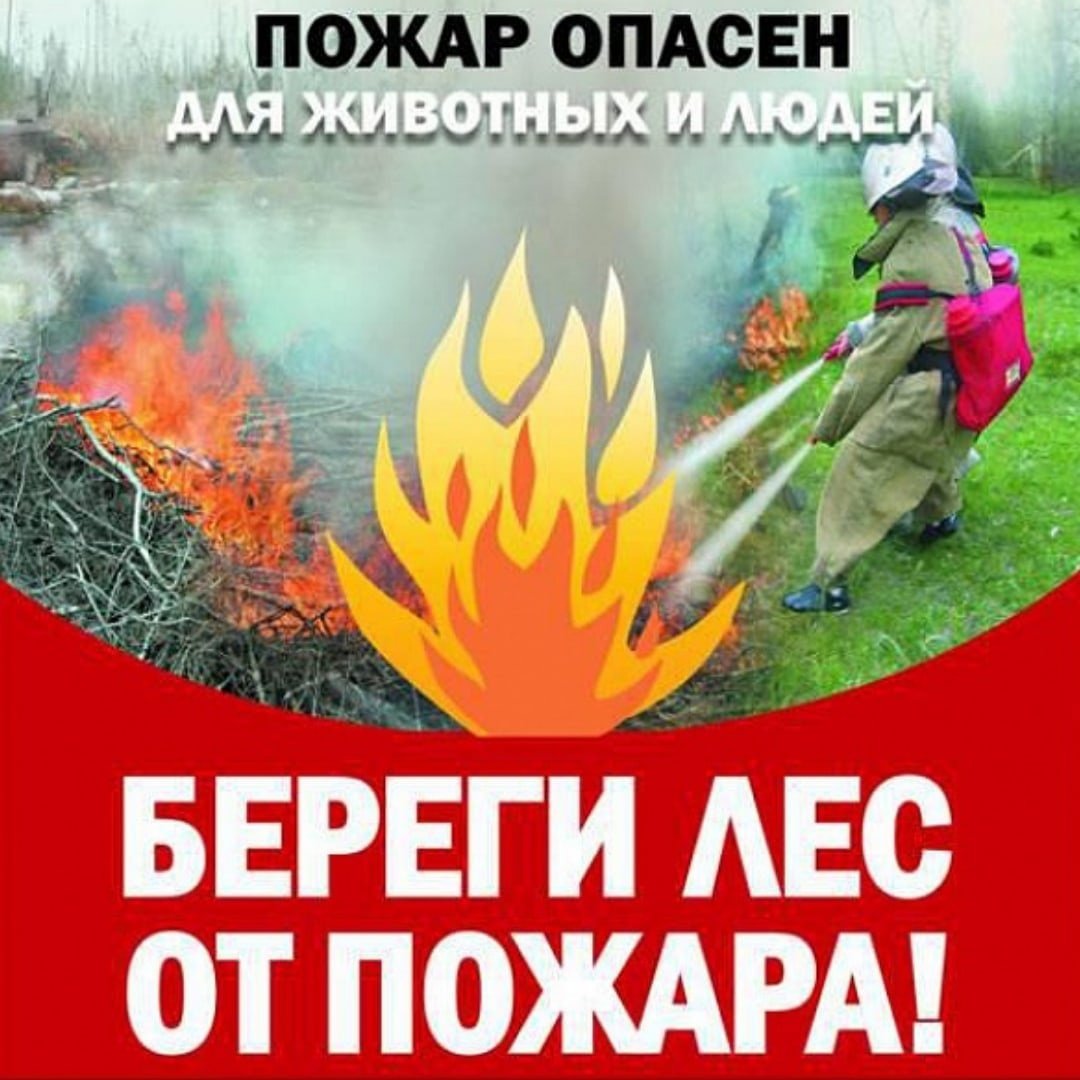 Береги лес от пожара