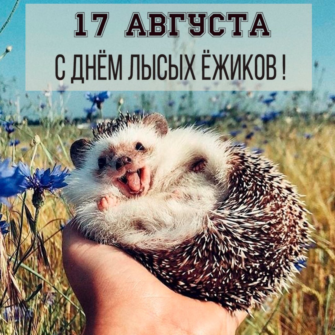 Самый счастливый Ежик