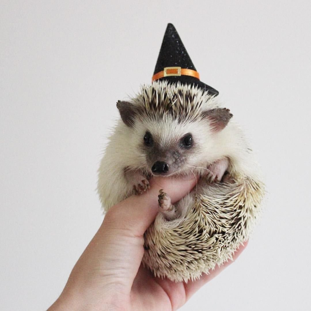 Шапка 'Ёжик'