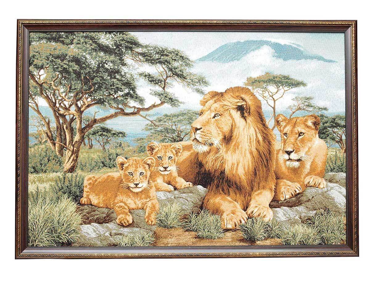 Лев львица и Львенок семья