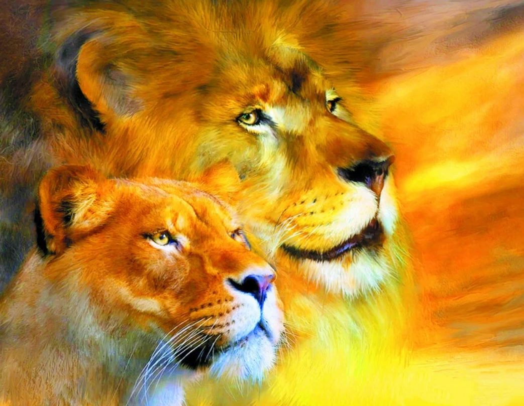 Лев семья картинки