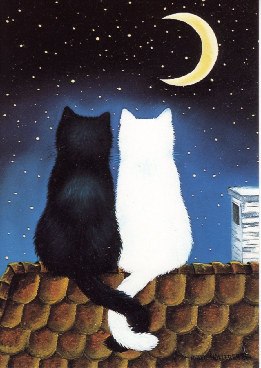 Влюбленный кот