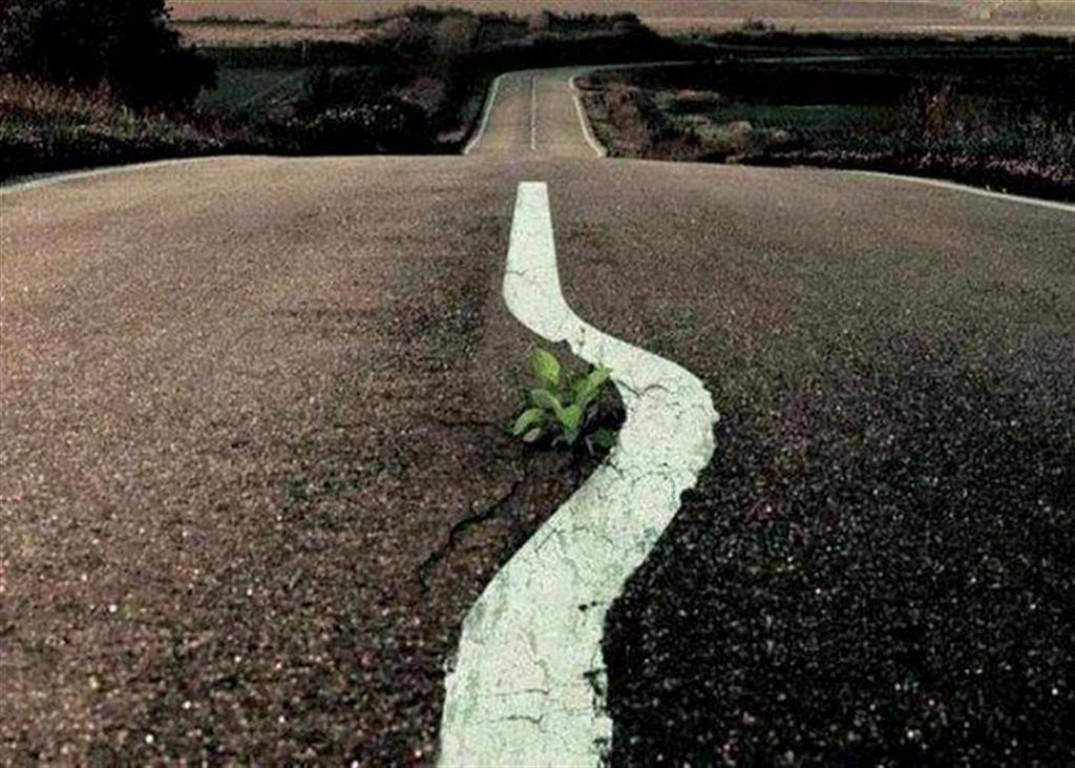 Улица макро