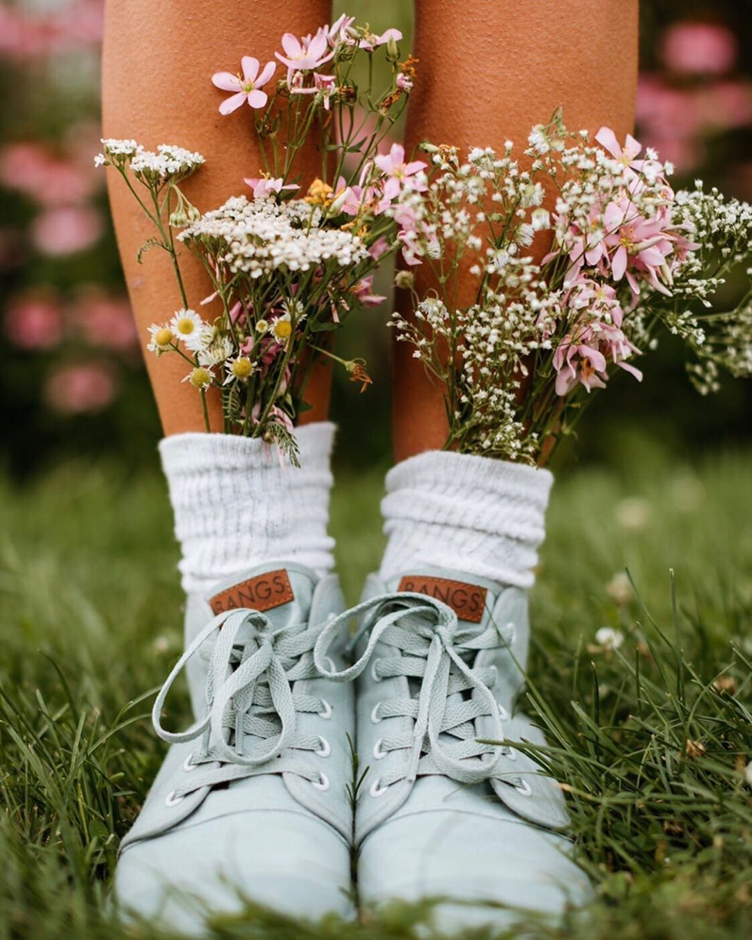 Летние цветы картинки креативные