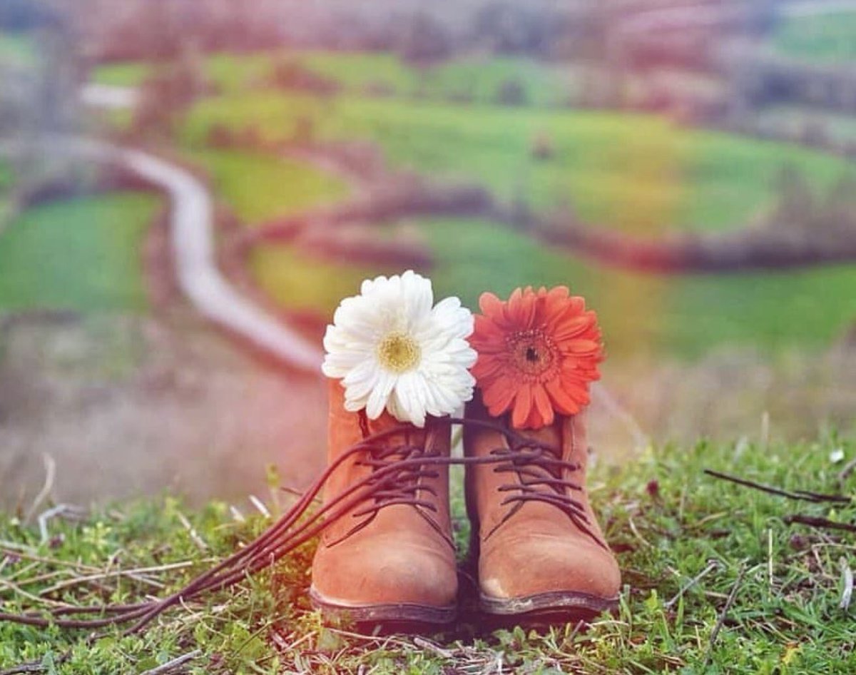 Цветы в ботинках