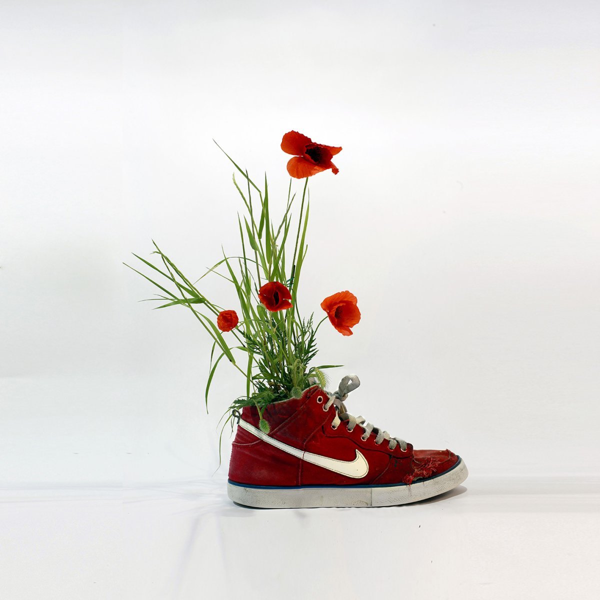 Цветы в кроссовках