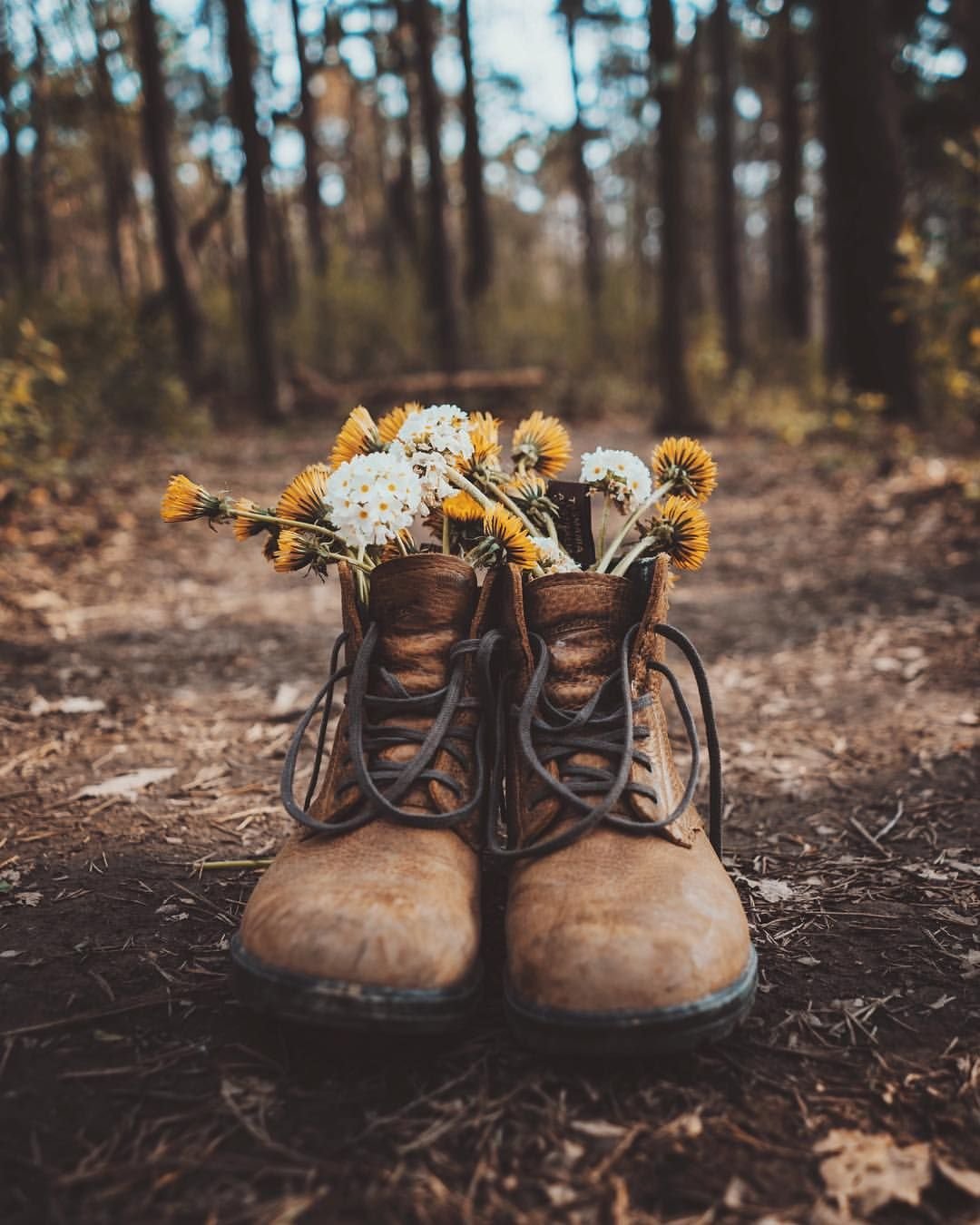«И вдруг лето рухнуло в осень…» — Оскар Уайльд.