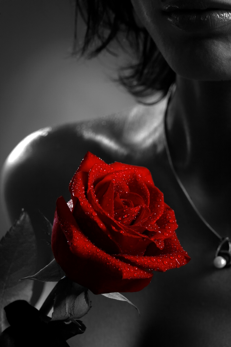 Девушка с черной розой