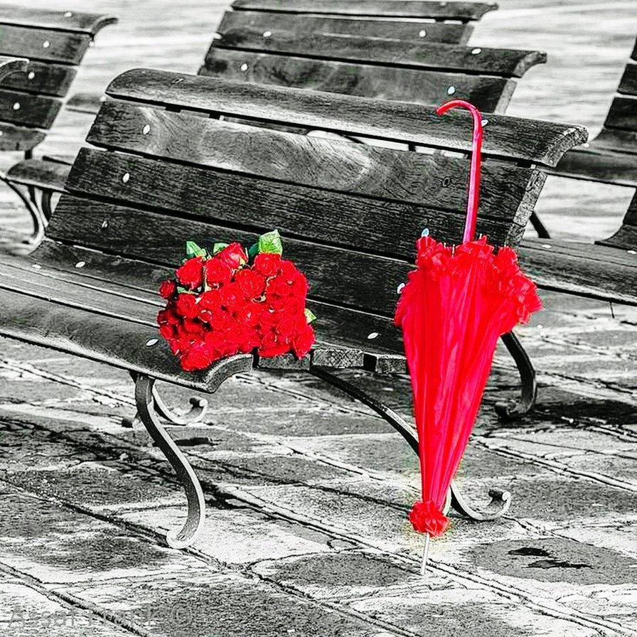 Assaf Frank фотограф