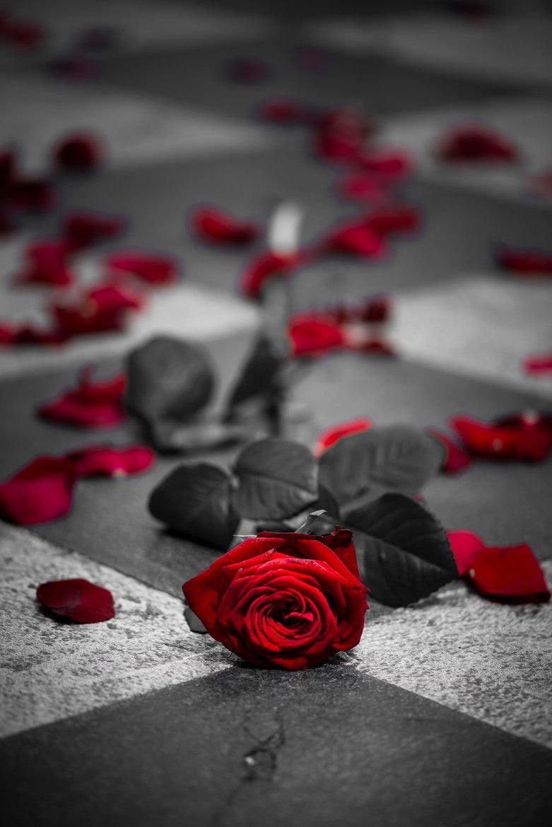 Серый с красным