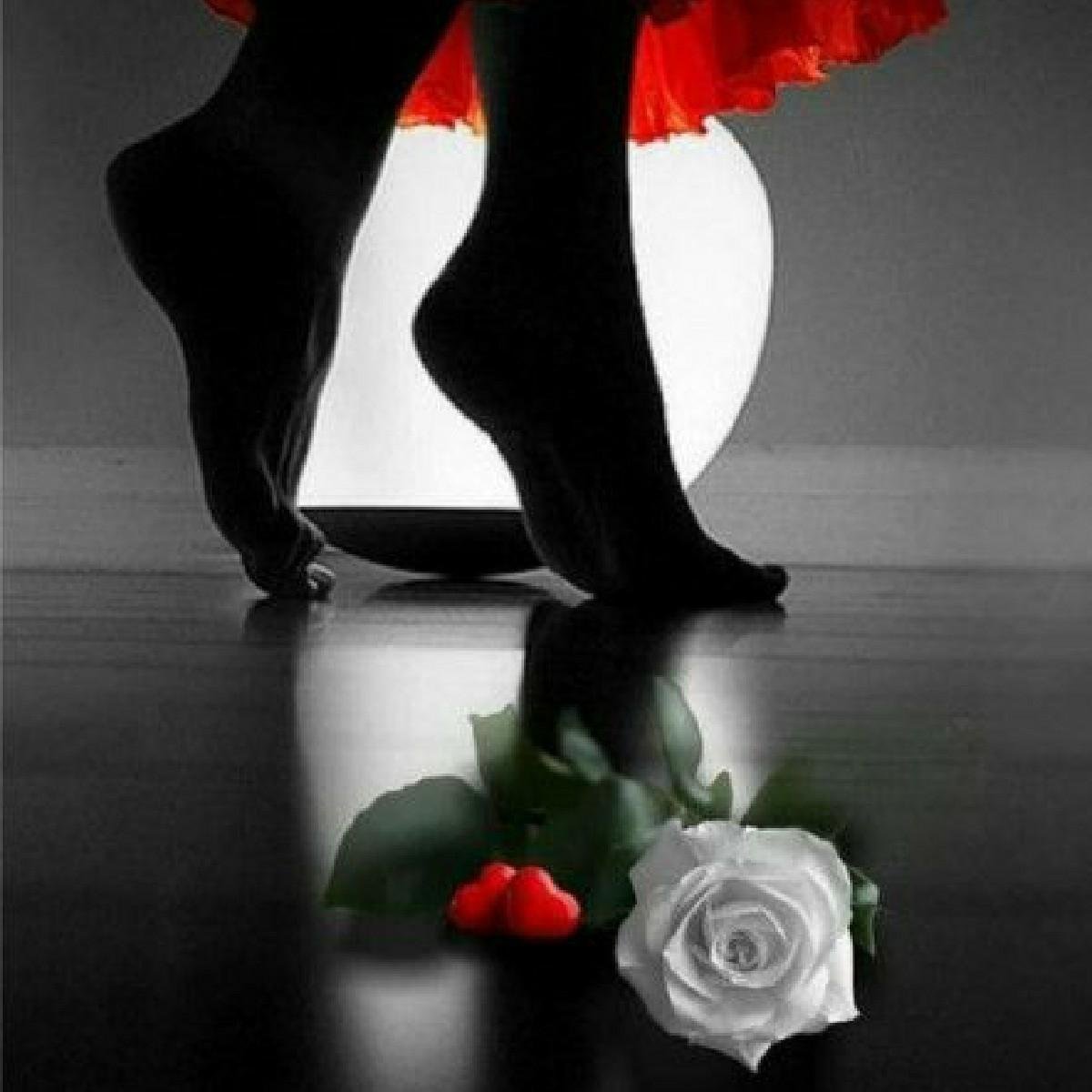 Красное и черное